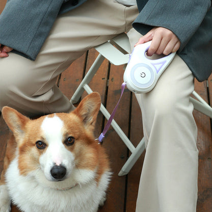 Retractable Dog Leash & Collar Set – Automatic Traction Rope for Small to Medium Dogs